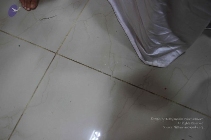 20170706 Photo 1142 1WQ00ftxcrrTlRudHSKuj6MNkpwRF1oDX.JPG