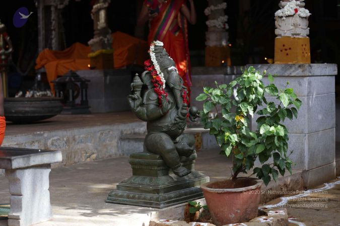 20170709 Photo 1008 1lvavafcy1HfOXNS6 kz6EoK-vYTwrm7t.JPG