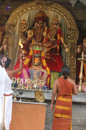 20170711 Photo 349 1sTNFbSWlIL9YZNisOc GCivGfk7T344I.jpg