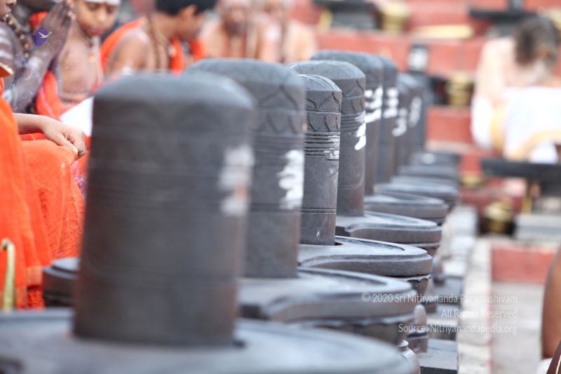 File:20170724 8898.jpg