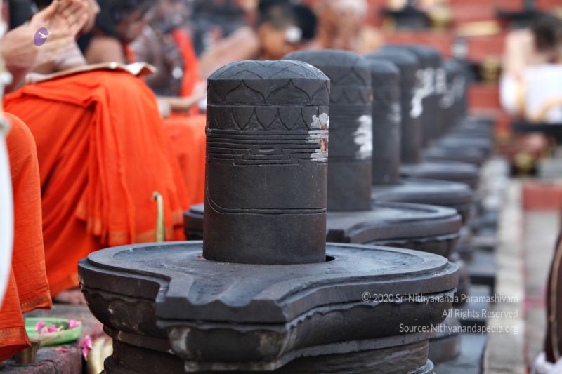 File:20170724 8899.jpg