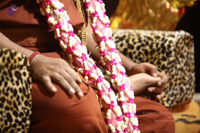 20170726 Photo 1003 1aRHjDW0ucAJmNHCv7dt-JfsCSNhIRNOe.JPG