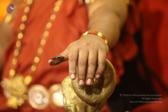 20170726 Photo 1484 1zDnIR5qV8TmbmRjrLJAAuyvbKyTuI4tF.JPG