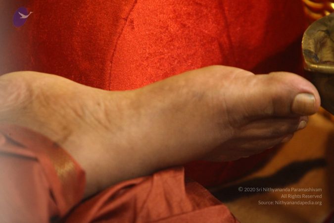 20170726 Photo 1540 1ZtF9NdY8oAD3tjTCinGai-UEENuVNggJ.JPG