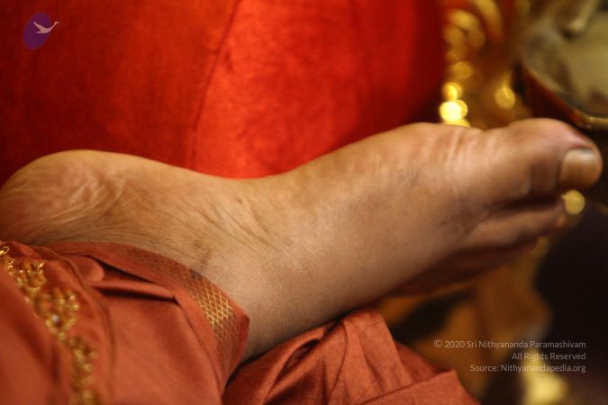 20170726 Photo 1542 1TfVN 4xIpd-c83R7XXO xqEtLS hrDk8.JPG