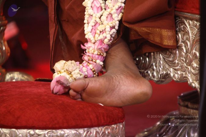 20170728 Photo 1112 1xhcPCJ5z6cxar1qxj-V9hHzmI6-W8kQH.JPG