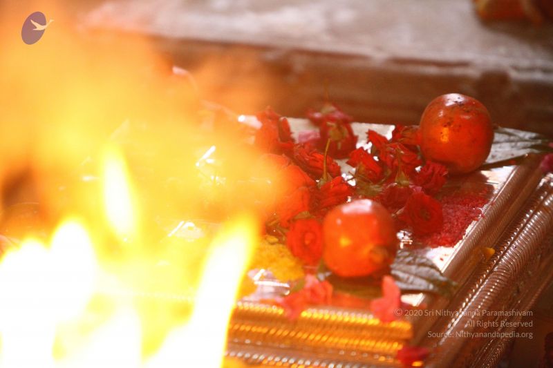 File:20170728 Photo 1203 1S71006TnZsvMMeejQmZ5 8jwLWwWhzJr.JPG