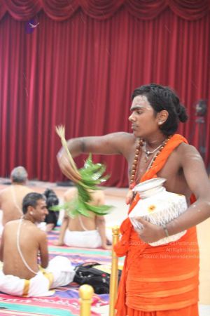 20170728 Photo 373 1q3BUZe1NSTBvL3cHCNRe3N7JVlECWU3r.jpg