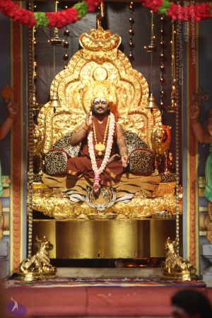 20170730 Photo 1089 1B6oKd58OPiQC8ug9ZTrlzSHXxV03vs5P.JPG