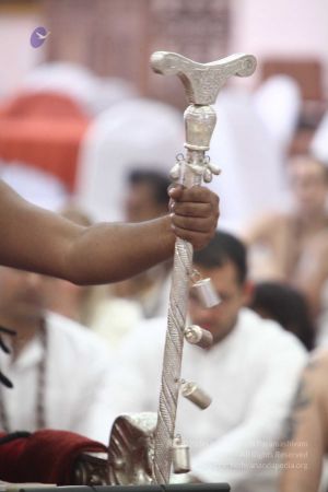 20170730 Photo 694 1CKu2hPVWkcnC5H6kndEIUC0KEp5JUVcp.jpg