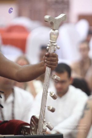 20170730 Photo 695 1gjCUzxCNCfjwEJf-1pByabaOU2NYGzAN.jpg