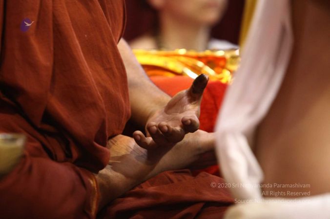 20170730 Photo 806 1nB6PR5DR84o8hFgkZJ42rFEyy7yrZaYX.jpg