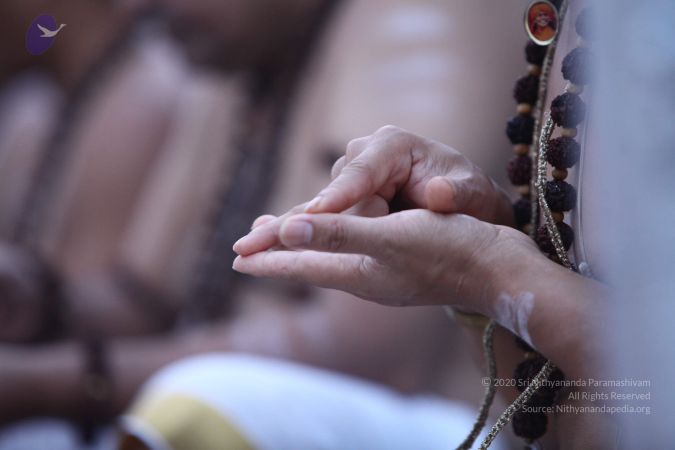 20170807 Photo 1005 1bjFbqiPe YBUxifm4B3cT jn3PrG-ovm.JPG