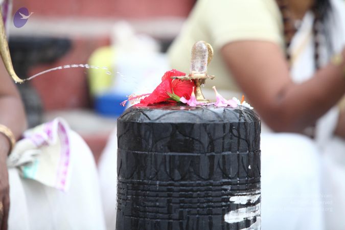 20170807 Photo 1043 1RQGwvUVFXl-hUKmjlQf3jPAkcMa7xYHI.JPG