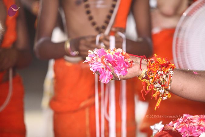 20170807 Photo 1779 1hlPBHFj1cR3c 2 q9x0H0tFuXSgH k60.JPG