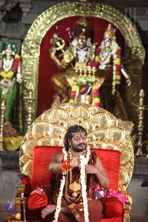 20170807 Photo 1799 1U8P2gfAUA2wZO0XRshAYE9n-nrHqLglY.JPG