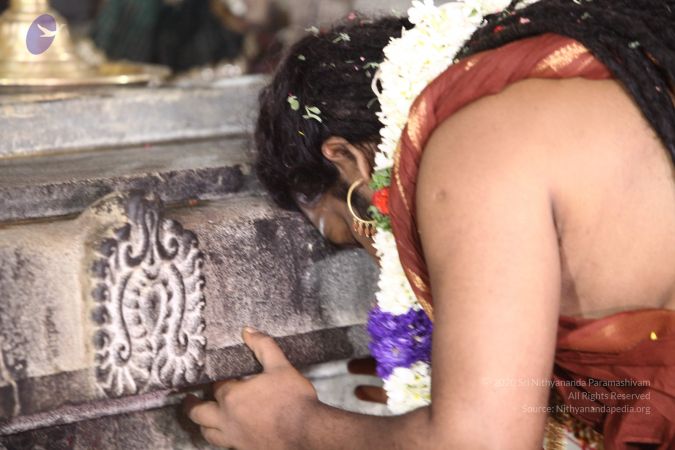 20170807 Photo 1921 13-lQLG1xFuiAgkP2 UnsvF~EqSbPtP-.JPG