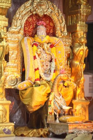 20170808 Photo 1002 1wKZ8Qqf81NeIVV S3VpOI2ybBoUBi2Tt.JPG