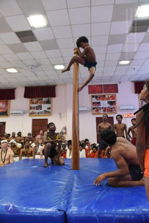 20170813 Photo 1548 1Cbb3eilRcss9JXZRTA4bvQdV2nSFHetc.JPG