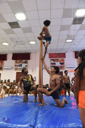 20170813 Photo 1549 1cyPrTaNcevhgrJAW6i5P9vEk86haqmSL.JPG