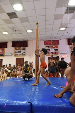 20170813 Photo 1560 1BstKIjivE09VCEnV8WseAH8h2 tJnZsk.JPG