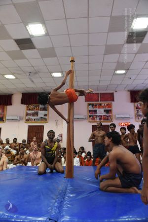 20170813 Photo 1563 1vJUlCzUrpoxC6eHrnRgXgKyUfCO4Eu3O.JPG