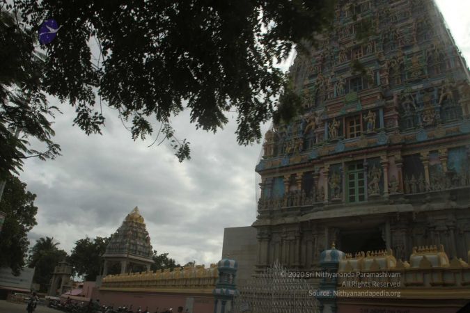 20170813 Photo 545 1qzFtk83ghJZQpR6505HiPvUhs6iqKPAW.jpg