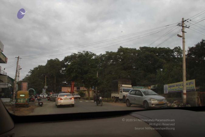 20170813 Photo 562 15vBGOKv6AfltDTNWFcoT5vJuziHOT8jj.jpg