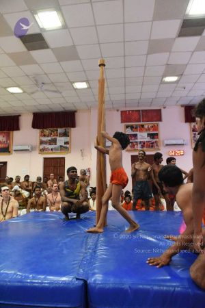 20170813 Photo 925 1RIIUQygXya3RoVSuzitO0ywyvsbqR9Qb.jpg