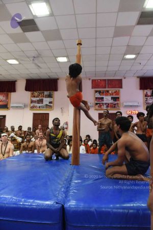 20170813 Photo 926 1mBPESM82q-5rbmZzSIG95UKwKb866PtH.jpg