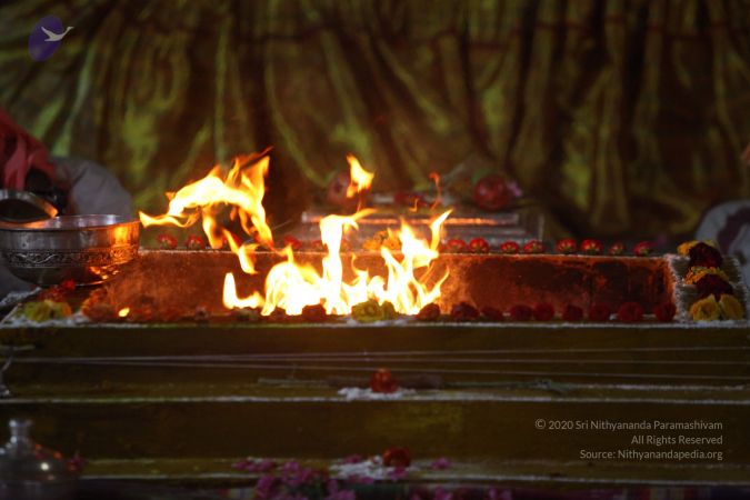 20170821 Photo 1004 1Ufv Y87giX SlFbIpa2APkDWFUOMVIOS.JPG