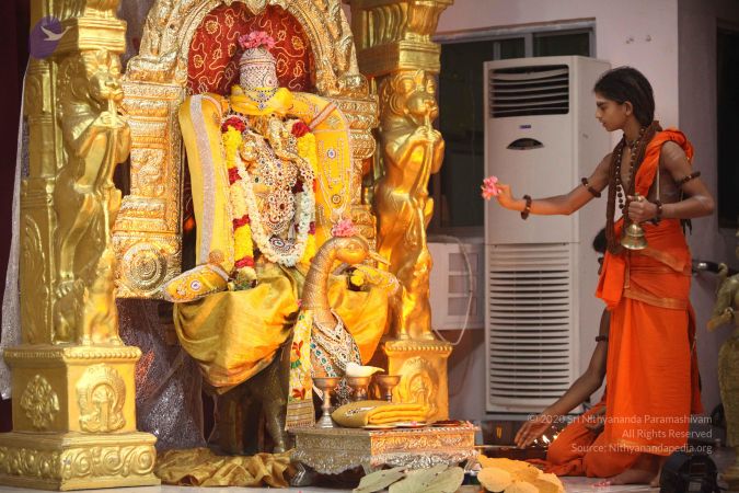 20170822 Photo 1005 1-2Qz4B8GO4QrHVGaAfdg5nr-o9hzWnzR.JPG