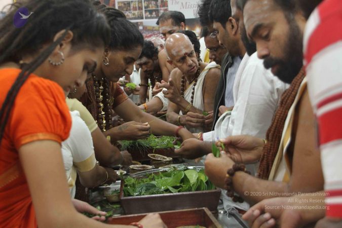 20170826 Photo 1487 11xipCQeI979aLnnQX6dE-izgm115J6cS.JPG