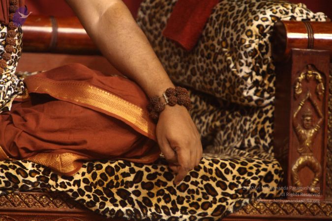 20170826 Photo 1745 1PjEikfG2h0yyR-gKDz-NSuUZCQezbJ9b.JPG