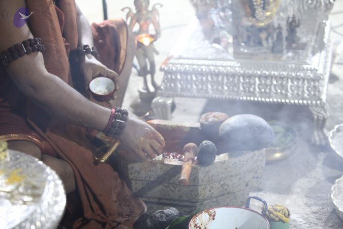 20170829 Photo 1368 1vxOs94EXUMsoIjHY-x8n3U1JBhiMjird.JPG