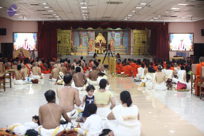 20170901 Photo 1033 1b3YiRfNUMi7O5l3hMN79 416y8-xupzL.JPG