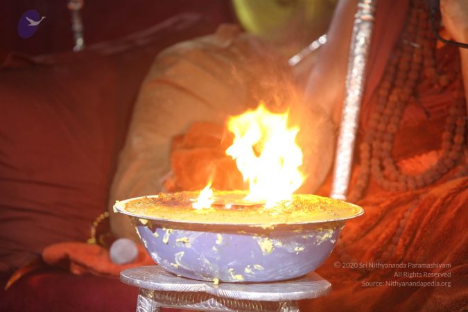 20170902 Photo 1114 1z1ZgjRF4hmuq29KVwxfNKdjZj113ctMJ.JPG