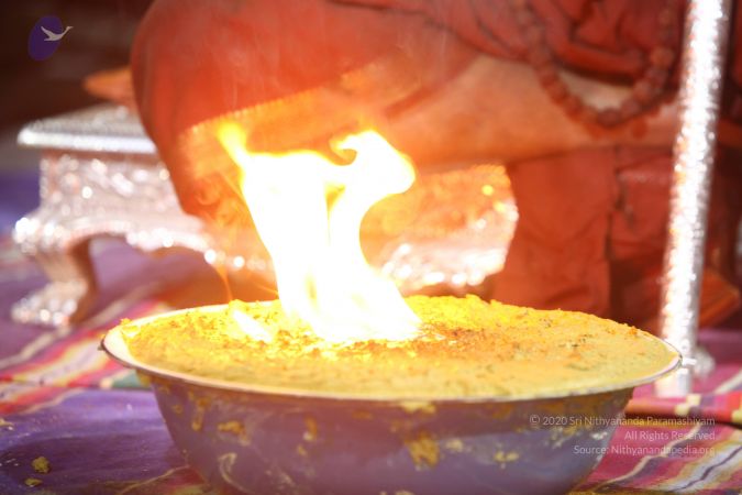 20170902 Photo 1356 1S1zvLWmnt6oqyyOAeF8eZi03kzl0EgAc.JPG