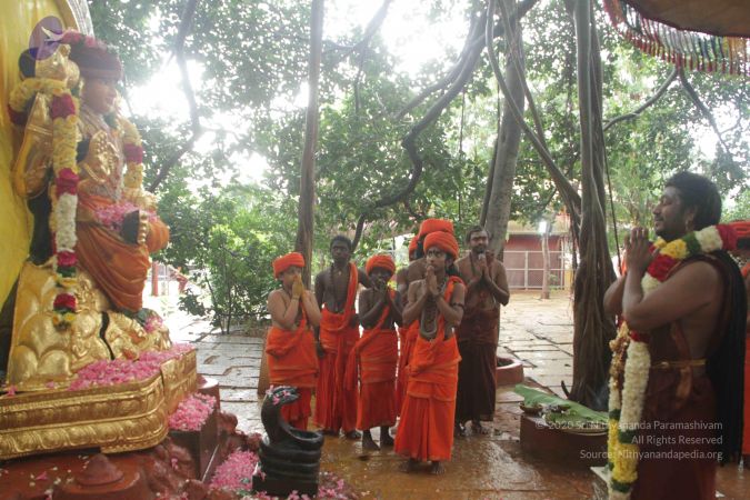 20170902 Photo 1479 1-tZGjPpxMXRj07o6WPq9tBz6HEBizNRV.JPG