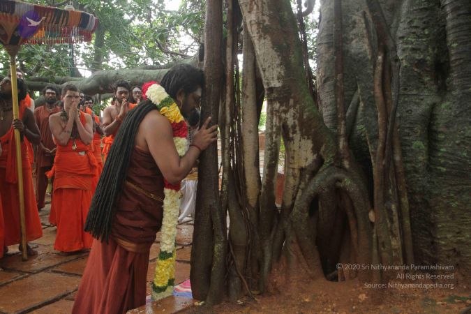 20170902 Photo 1571 1aicxuXt0Tohmi1bubVcP2Be0JNhLjzoy.JPG