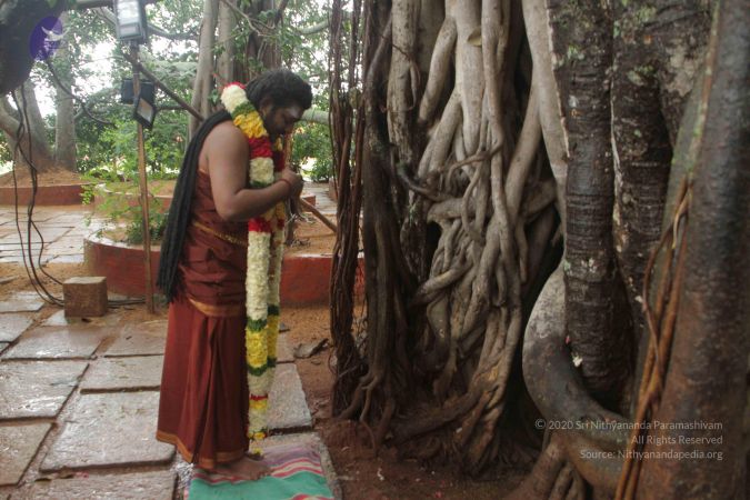 20170902 Photo 1573 1davw8XT0jLW6RYr2vuBvM c2tzRmzFIR.JPG