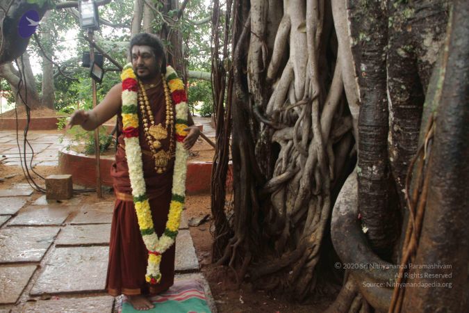 20170902 Photo 1575 1Pg6X50kfv7Pa7340IK6BtuJ6uGz3rOjl.JPG