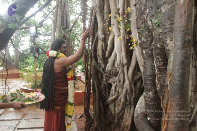 20170902 Photo 1576 1EgWqx4mXmSDqbfAvhVoPrz4uY8MWPn1G.JPG