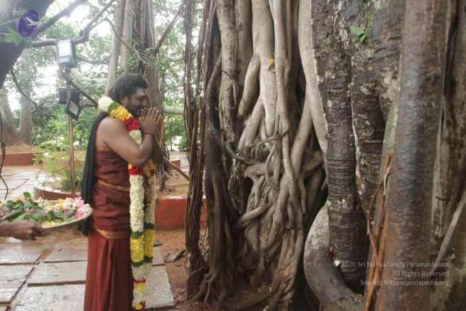 20170902 Photo 1577 1sXAWMM7Dm9mCXxV6CyZQ2ZUOUmnhoZ83.JPG