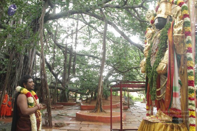 20170902 Photo 1593 1unR7okR8aik4oDrtvsfkOiHO7hIo15jq.JPG