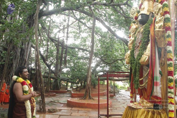 20170902 Photo 1595 1bsvoZnhOYgXdpcSvbyCy4hAgnZ9wAXY-.JPG