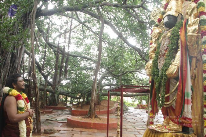 20170902 Photo 1597 1TNMrTlGxVbTRUvp16NBl8GCJUWgb4E8e.JPG