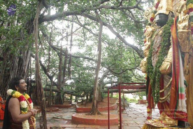 20170902 Photo 1602 1zw4nrRl5sUsCTaSd0HUGufE5cSsHMctA.JPG