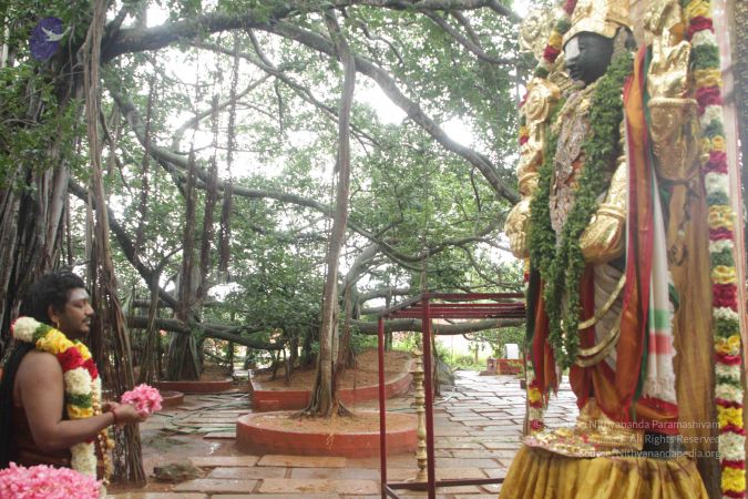 20170902 Photo 1603 1rq1gwCJfHne3fKWHG2oFIzOHmL7n8hHX.JPG