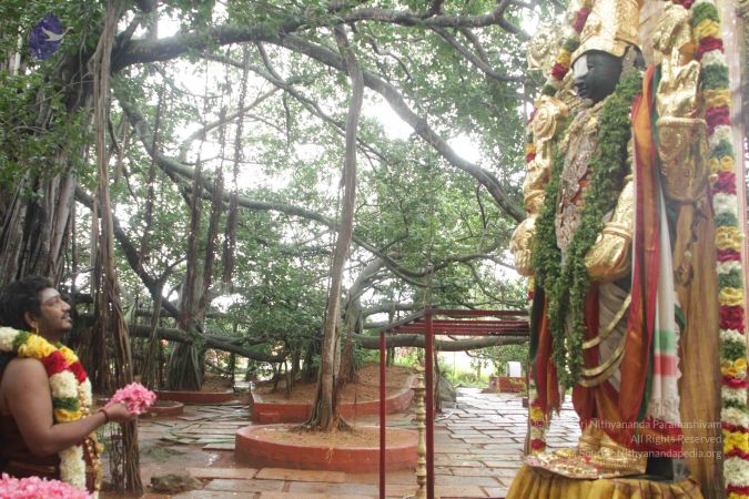 20170902 Photo 1606 1veSk msXid8HnQoJoS4LBEtWVIrGZUpX.JPG